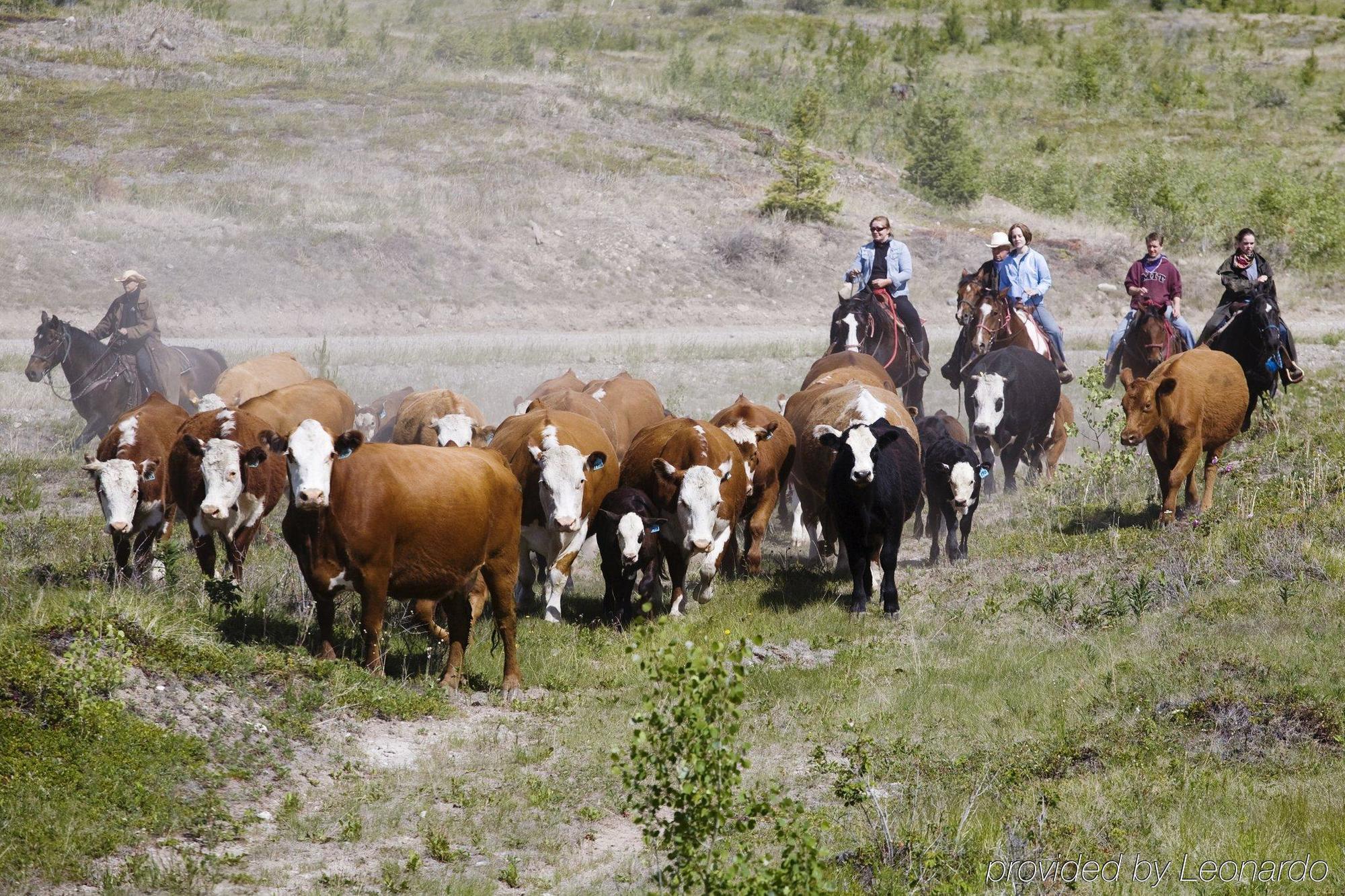 Echo Valley Ranch And Spa Clinton Dış mekan fotoğraf