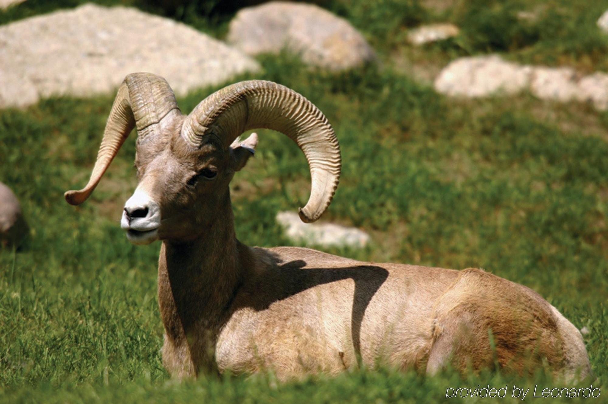 Echo Valley Ranch And Spa Clinton Dış mekan fotoğraf